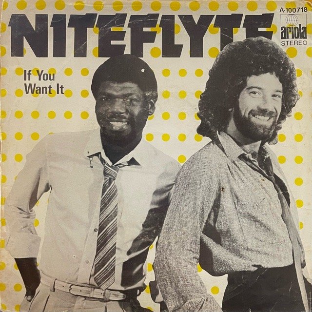 Niteflyte｜If You Want It (7)｜レコード通販｜vivrantdiscstore